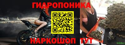 дживик Бийск
