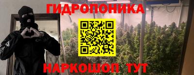 мяу мяу мука Беслан