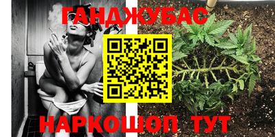 мяу мяу мука Беслан
