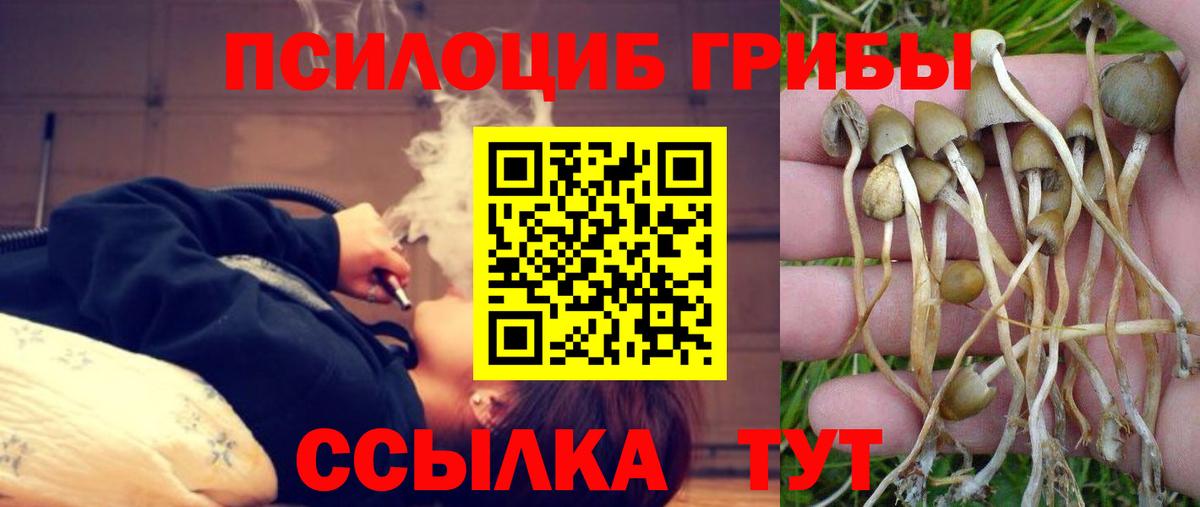 Джанкой  Галлюциногенные грибы мицелий  Вход с VPN  Псилоцибиновые грибы мухоморы 